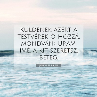 János 11:3 KAR Bibliai verskép