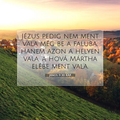 János 11:30 KAR Bibliai verskép