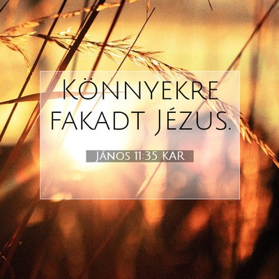 János 11:35 KAR Bibliai verskép