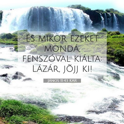 János 11:43 KAR Bibliai verskép