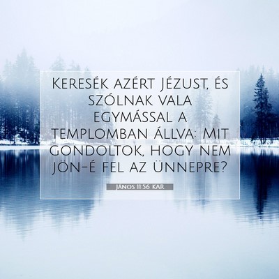 János 11:56 KAR Bibliai verskép