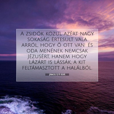 János 12:9 KAR Bibliai verskép