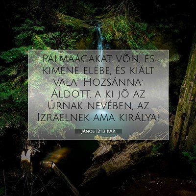 János 12:13 KAR Bibliai verskép