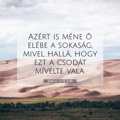 János 12:18 KAR Bibliai verskép