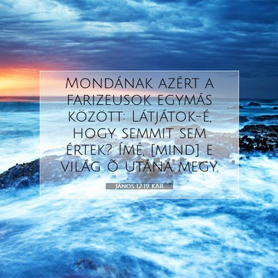 János 12:19 KAR Bibliai verskép