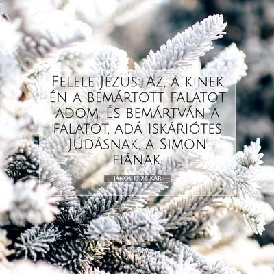 János 13:26 KAR Bibliai verskép