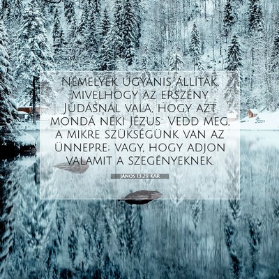 János 13:29 KAR Bibliai verskép