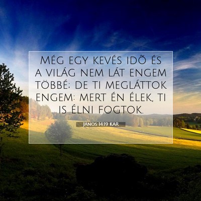 János 14:19 KAR Bibliai verskép