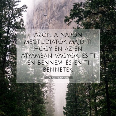 János 14:20 KAR Bibliai verskép