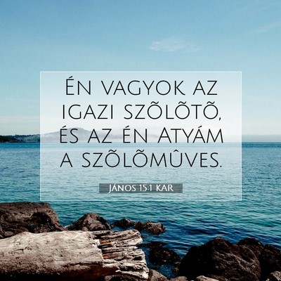 János 15:1 KAR Bibliai verskép