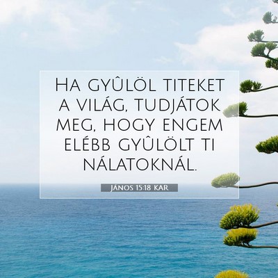 János 15:18 KAR Bibliai verskép