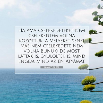 János 15:24 KAR Bibliai verskép