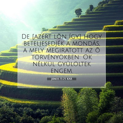 János 15:25 KAR Bibliai verskép