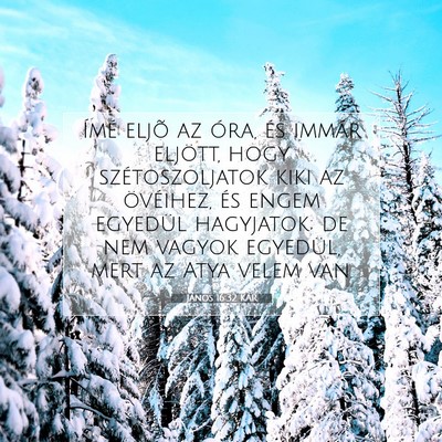 János 16:32 KAR Bibliai verskép