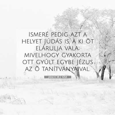 János 18:2 KAR Bibliai verskép