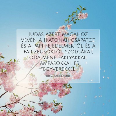 János 18:3 KAR Bibliai verskép