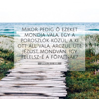 János 18:22 KAR Bibliai verskép