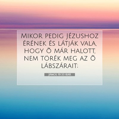 János 19:33 KAR Bibliai verskép
