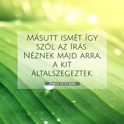 János 19:37 KAR Bibliai verskép