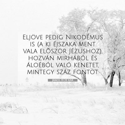 János 19:39 KAR Bibliai verskép
