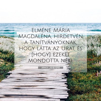 János 20:18 KAR Bibliai verskép