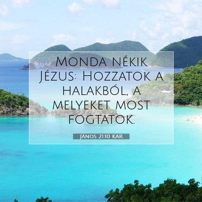 János 21:10 KAR Bibliai verskép