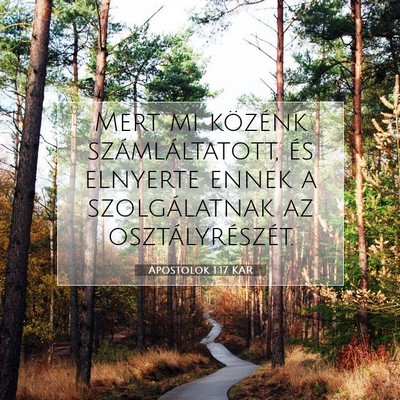 Apostolok 1:17 Bibliai vers magyarázata