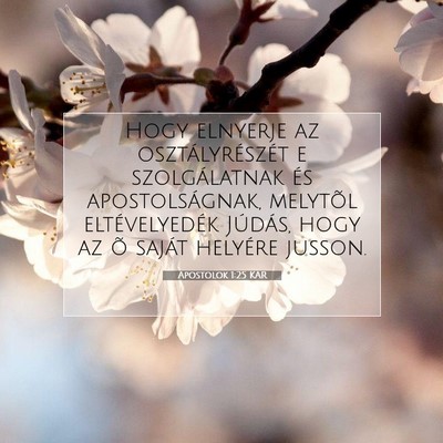 Apostolok 1:25 Bibliai vers magyarázata