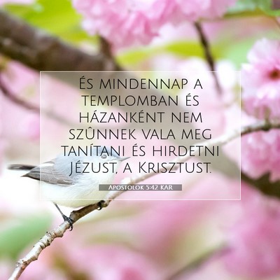Apostolok 5:42 Bibliai vers magyarázata