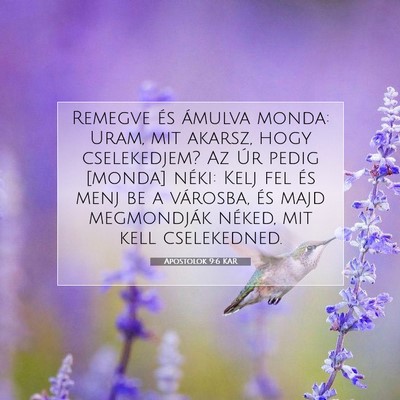 Apostolok 9:6 Bibliai vers magyarázata