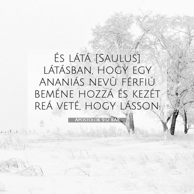 Apostolok 9:12 Bibliai vers magyarázata