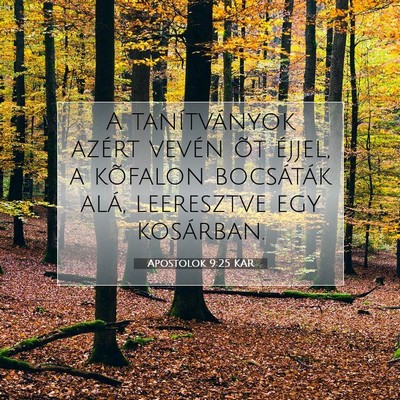 Apostolok 9:25 Bibliai vers magyarázata