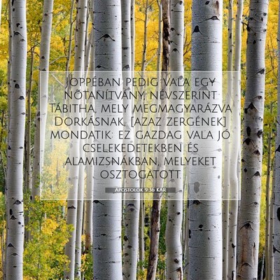 Apostolok 9:36 Bibliai vers magyarázata