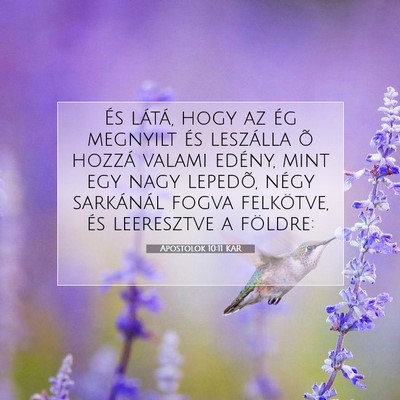 Apostolok 10:11 Bibliai vers magyarázata