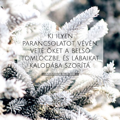 Apostolok 16:24 Bibliai vers magyarázata