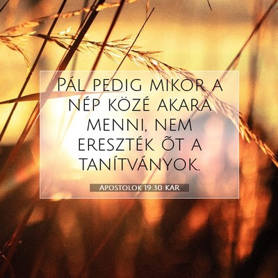 Apostolok 19:30 Bibliai vers magyarázata