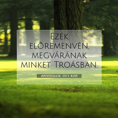 Apostolok 20:5 Bibliai vers magyarázata