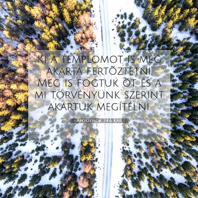 Apostolok 24:6 Bibliai vers magyarázata