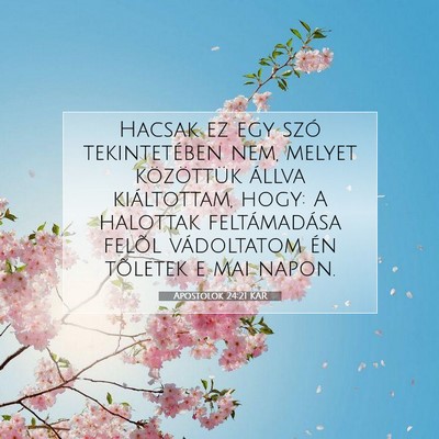 Apostolok 24:21 Bibliai vers magyarázata