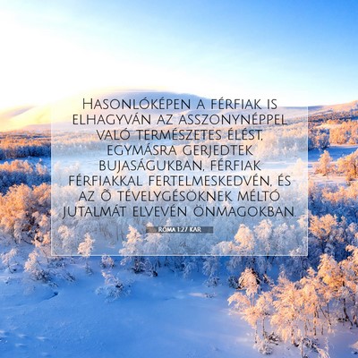 Róma 1:27 Bibliai vers magyarázata