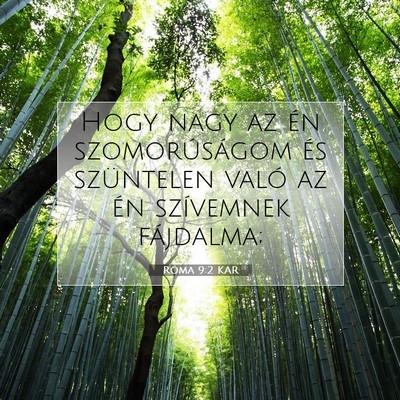 Róma 9:2 KAR Bibliai verskép