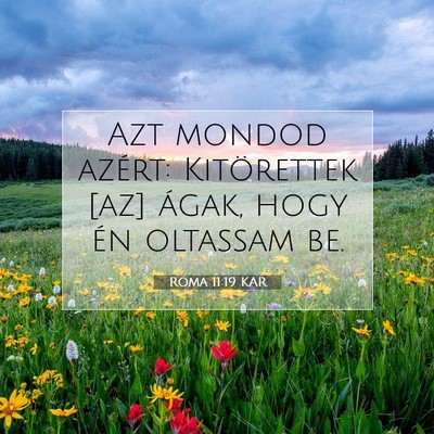 Róma 11:19 KAR Bibliai verskép