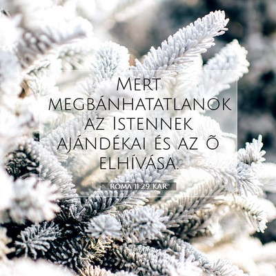 Róma 11:29 KAR Bibliai verskép