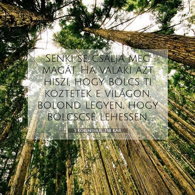 1 Korinthus 3:18 KAR Bibliai verskép