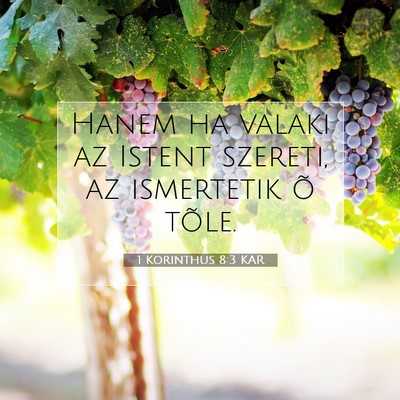 1 Korinthus 8:3 KAR Bibliai verskép