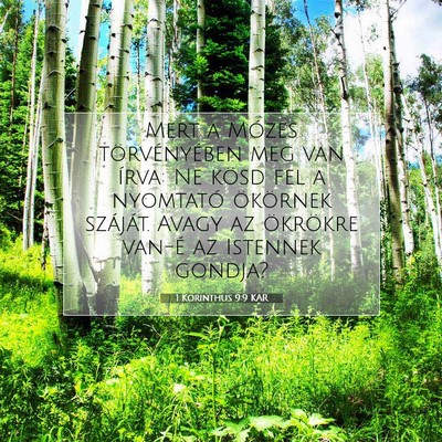 1 Korinthus 9:9 KAR Bibliai verskép