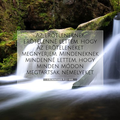 1 Korinthus 9:22 KAR Bibliai verskép