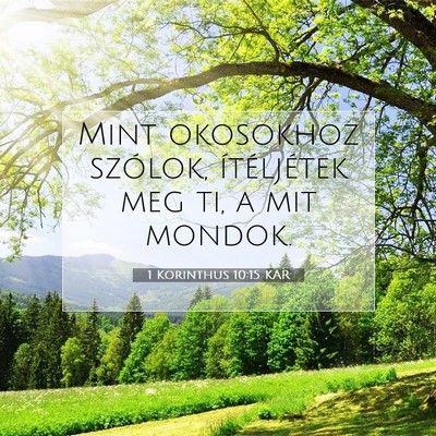1 Korinthus 10:15 KAR Bibliai verskép