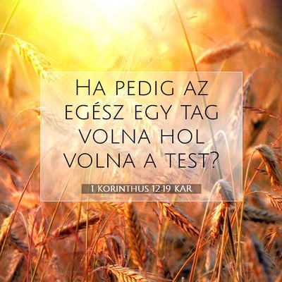 1 Korinthus 12:19 KAR Bibliai verskép