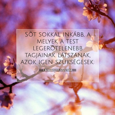 1 Korinthus 12:22 KAR Bibliai verskép
